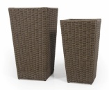 Ninja �����